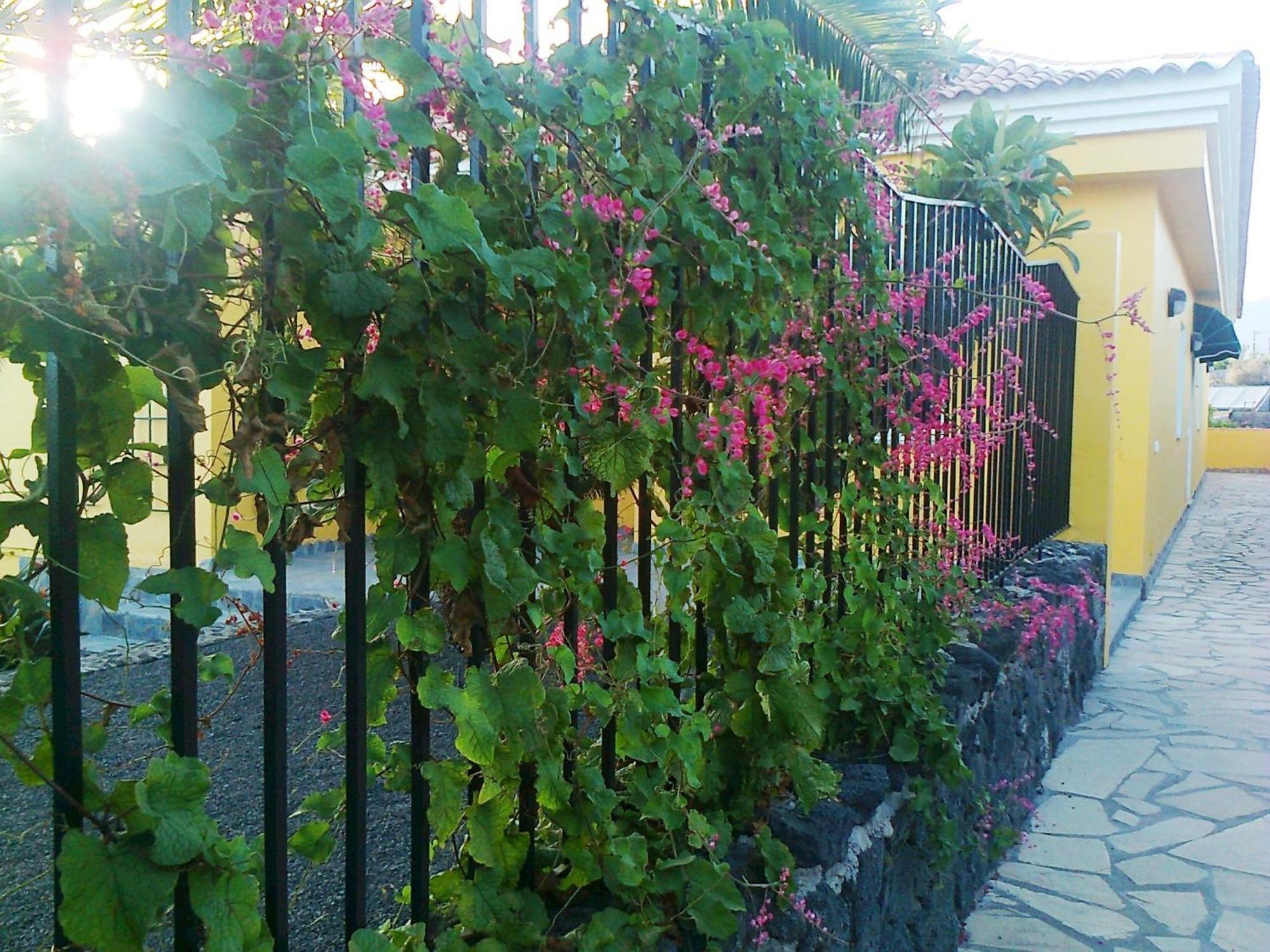 Vv Complejo Vacacional Villamaria Los Llanos De Aridane Exterior photo